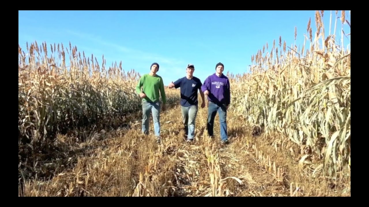 Farmer Style (Gangnam Style Parody)